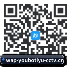 系统版 iOS 二维码